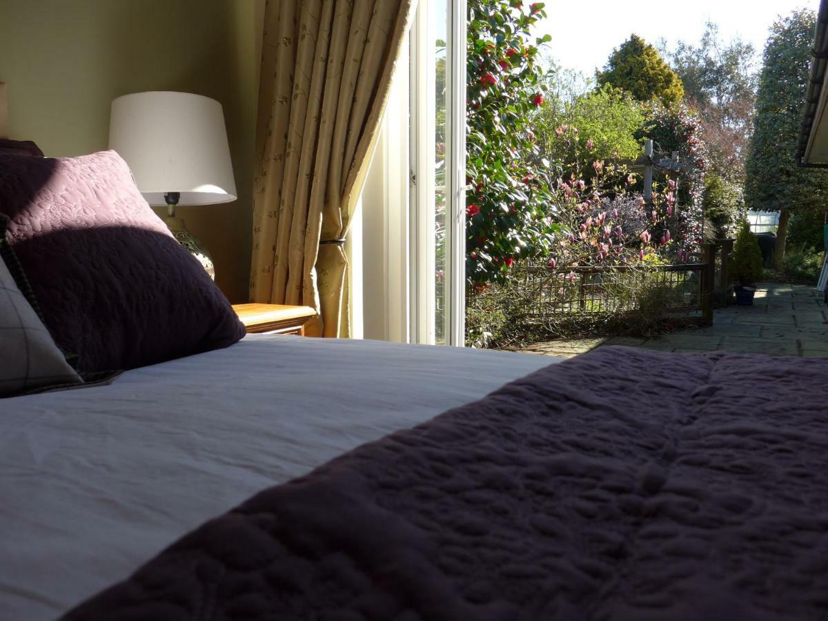 The Olive Tree Bed & Breakfast Gosport Eksteriør bilde